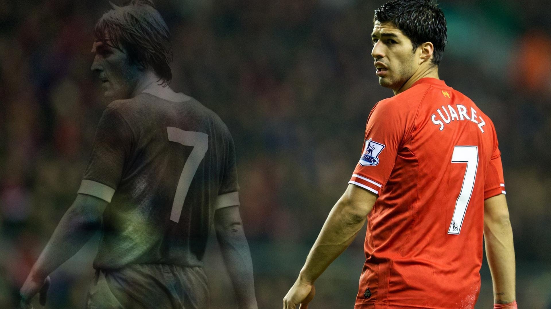 体育场馆运营管理优化措施，体育场馆运营管理优化措施有哪些